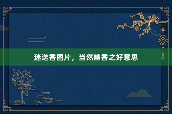 迷迭香图片，当然幽香之好意思