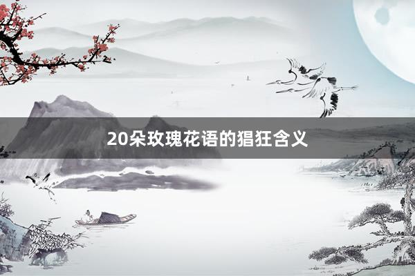 20朵玫瑰花语的猖狂含义