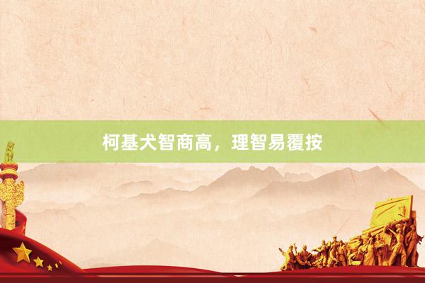 柯基犬智商高，理智易覆按